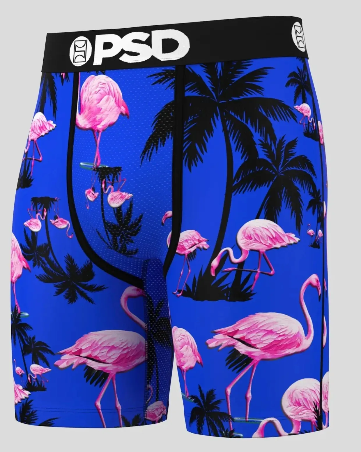 3 Pack - Oasis