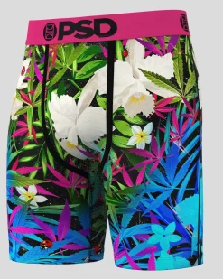 6 Pack - Tropics