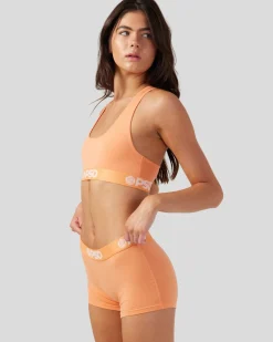Modal Solids - Coral