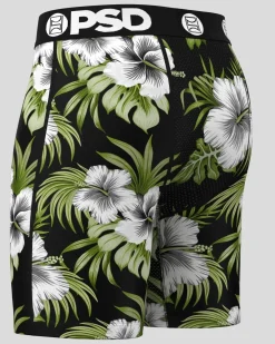 Tropics Time
